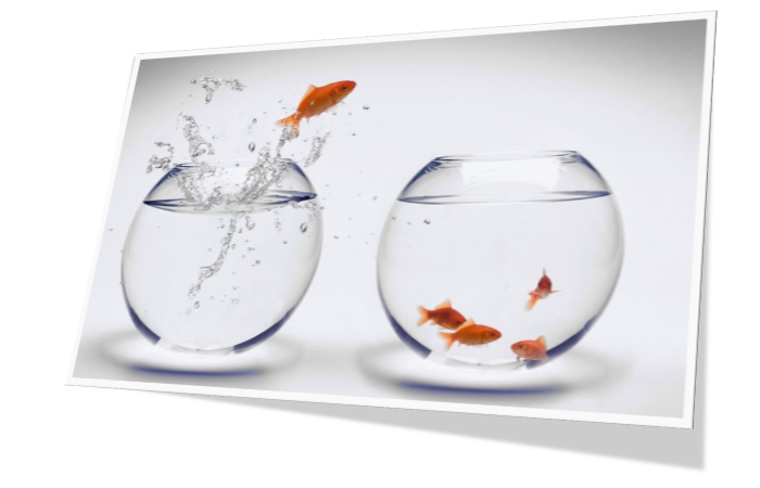 We. Your next job. | Intelligentia - Careers
